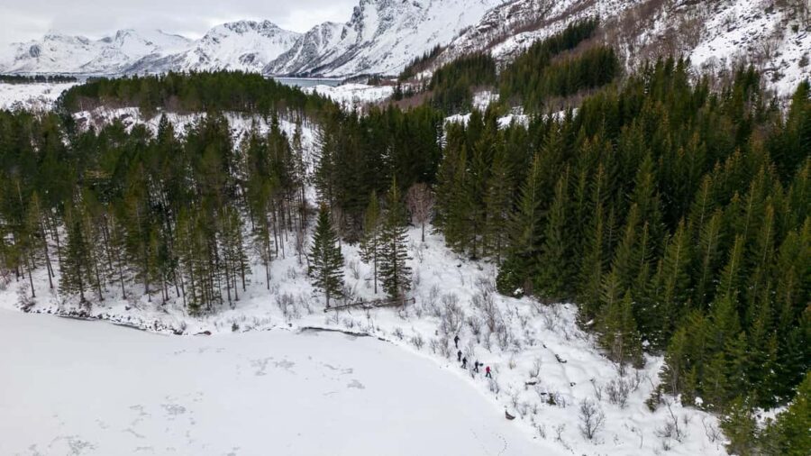 Lofoten Islands: Guided Snowshoeing Tour - Easy version - What the Tour Includes and What to Bring