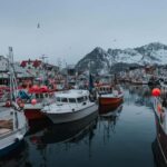 Lofoten Scenic Sightseeing Tour: Half day tour - Haukland Beach’s White Sands and Towering Mountains