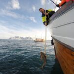 Lofoten: Traditional Fishing Trip - Join a Traditional Fishing Vessel in Lofoten for an Authentic Experience