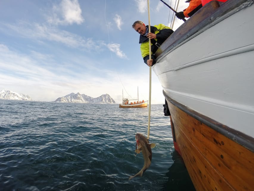 Lofoten: Traditional Fishing Trip - Join a Traditional Fishing Vessel in Lofoten for an Authentic Experience