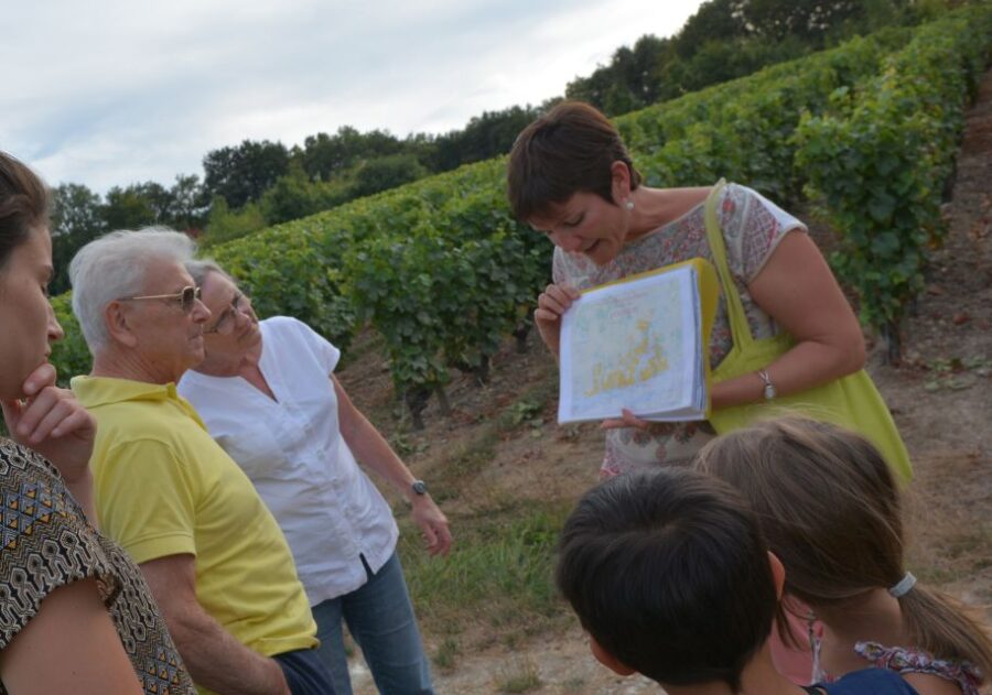 Loire Valley: Vouvray Vineyard Tour and Wine Tasting - Exploring the Vineyards of Vouvray with a Guided Walk