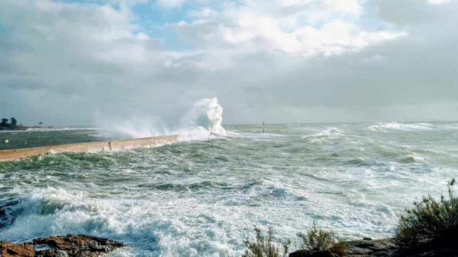 Lomener: Guided Tour of the Port's History and Traditions - What Makes This Tour Stand Out: Authentic Breton Heritage
