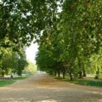 London: 24-Hour Hop-On Hop-Off Bus Pass - The Tour Starts at Marble Arch and Ends Back There