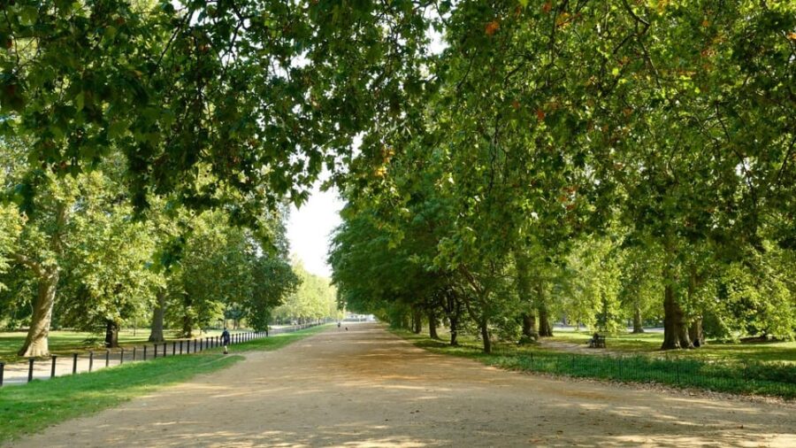 London: 24-Hour Hop-On Hop-Off Bus Pass - The Tour Starts at Marble Arch and Ends Back There