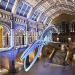 London: Guided Exploration at the Museum of Natural History - Exploring the Volcanoes and Earthquakes Gallery
