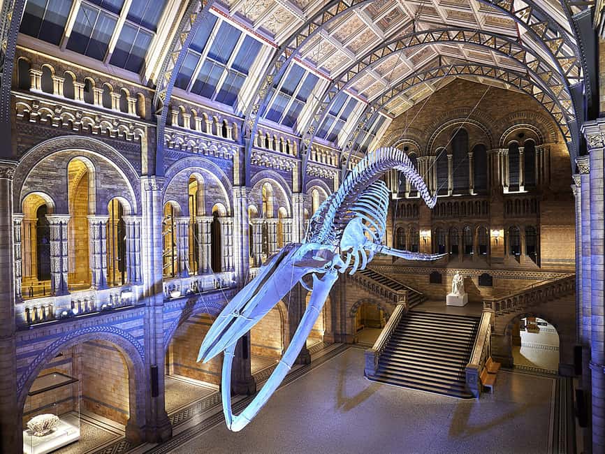 London: Guided Exploration at the Museum of Natural History - Exploring the Volcanoes and Earthquakes Gallery