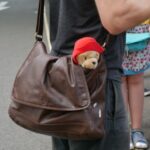 London: Guided Paddington Bear Walking Tour - The Tour Starts at Paddington Station’s Bear Shop