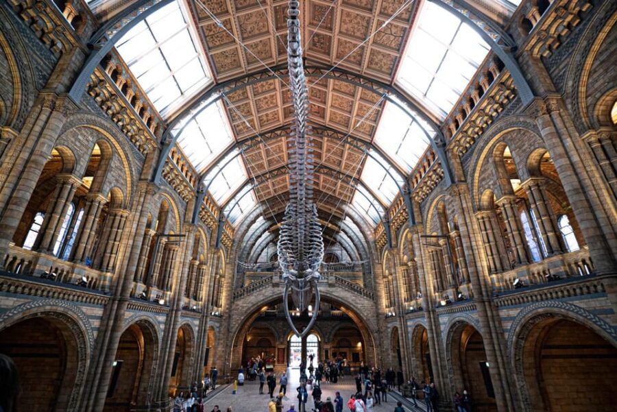 London: Guided Tour of the Natural History Museum - Exploring the Dinosaur Gallery and the Iconic Diplodocus