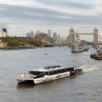 London: Hop-On Hop-Off 1-Day River Sightseeing Adventure - Views of Londons Most Famous Landmarks