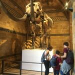 London: Natural History Museum Entry Ticket and Guided Tour - Starting the Journey at South Kensington and Meeting the Guide