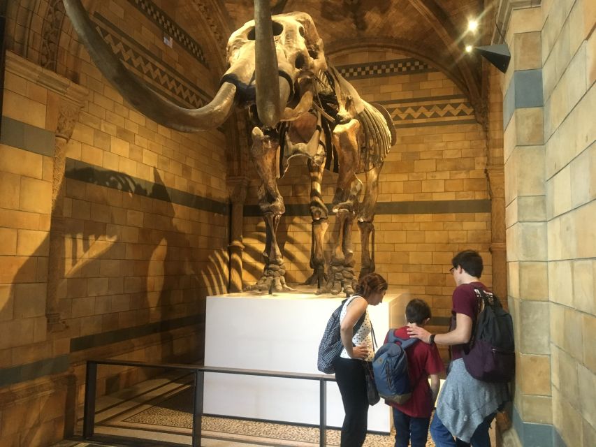 London: Natural History Museum Entry Ticket and Guided Tour - Starting the Journey at South Kensington and Meeting the Guide