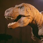 London: Natural History Museum Express Tour & Audio App - Highlights of the Museum’s Iconic Exhibits