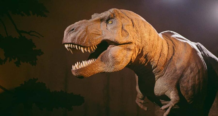 London: Natural History Museum Express Tour & Audio App - Highlights of the Museum’s Iconic Exhibits