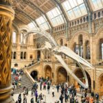London: Natural History Museum Guided Tour - Exploring the Museum’s Most Important Exhibits