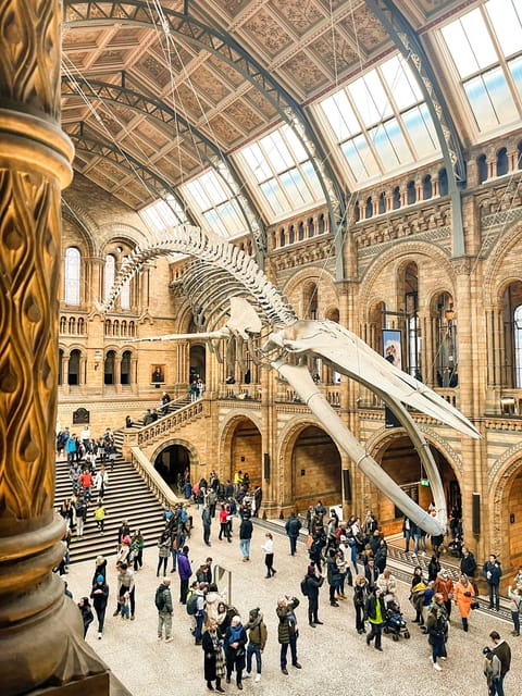 London: Natural History Museum Guided Tour - Exploring the Museum’s Most Important Exhibits