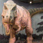 London: Natural History Museum + Guided Tour+ Priority Entry - Explore the Iconic Hintze Hall and the Blue Whale Skeleton