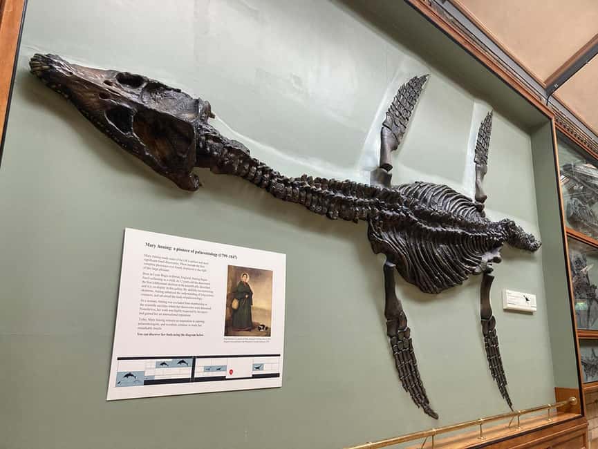 London Natural History Museum - Private Tour with Expert - The Logistics: Meeting Point and Accessibility