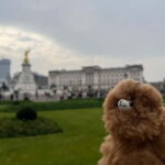 London: Private Tour of Stonehenge, Windsor Castle, and Bath - Starting the Day with Windsor Castles Royal Grandeur