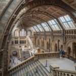 London: Royal Kensington Guided Walking Tour - Starting Point at Knoots Coffee Shop