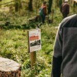 London: South Downs White Cliffs Day Trip with Train Tickets - Discovering Devil’s Dyke and Ancient Landscapes