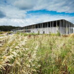 London: Stonehenge Morning or Afternoon Tour Optional Lunch - Scenic Drive Through Salisbury Plain