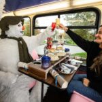 London: The Snowman Afternoon Tea Bus Christmas Tour - What the Afternoon Tea Menu Includes