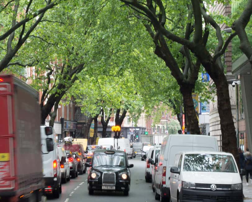 London: West End Photography Walking Tour with Guide - Meeting Point and Accessibility