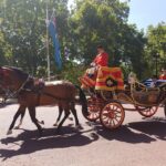 London: Westminster Walking Tour & Westminster Abbey Visit - Starting Point Outside The Ritz London