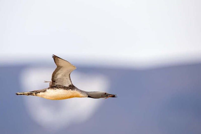 Longyearbyen: Wildlife Safari & Hiking Photography Tour - The Tour’s Base in Longyearbyen