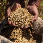 Loosbroek: Grain-to-glass Whisky Distillery Tour & Tasting - How the Tour Begins: Meeting at the Farm Distillery