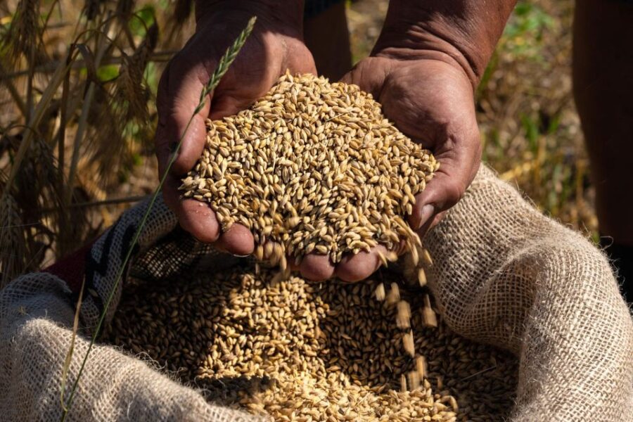 Loosbroek: Grain-to-glass Whisky Distillery Tour & Tasting - How the Tour Begins: Meeting at the Farm Distillery