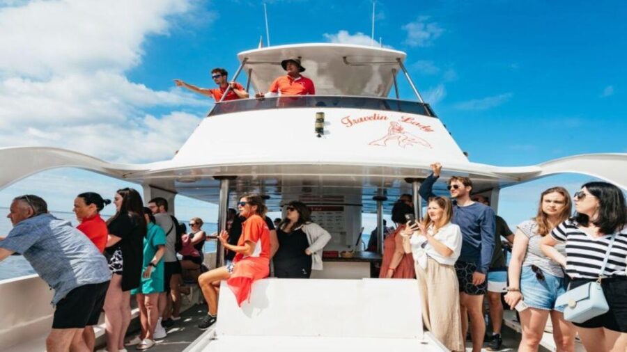 Los Cristianos: Eco Yacht Whale Watching Tour at Sunset - What Makes the Eco Yacht Special: The Travelin Lady