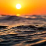 Los Cristianos : Sunset Kayak Safari with Cave & Wildlife - Gentle Paddling and Scenic Coastal Views