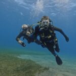 Los Cristianos: Try Dive for beginners - The Itinerary: From Ocean Dreams to the Seabed