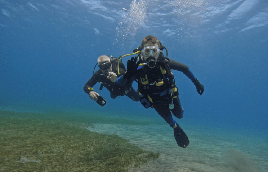 Los Cristianos: Try Dive for beginners - The Itinerary: From Ocean Dreams to the Seabed