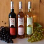 Loulé: Quinta da Tôr Winery Guided Tour and Wine Tasting - Discovering Quinta da Tôr: A Family-Owned Winery in Loulé