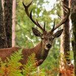 Lousa Mountain Private Tour - Meeting Point and Transportation in Coimbra