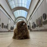 Louvre Museum Entry Ticket and Private Guided Tour - Starting Point Near Palais Royal and the Museum Entrance