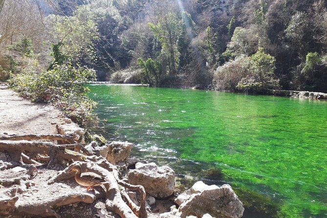 Luberon and Chateauneuf du Pape Wine Tour - The Charm of Gordes and Its Panoramic Viewpoint