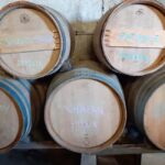 Luberon: cellar tour and wine tasting with commentary by an oenologist - Tasting Multiple Wines from Different Terroirs and Varieties
