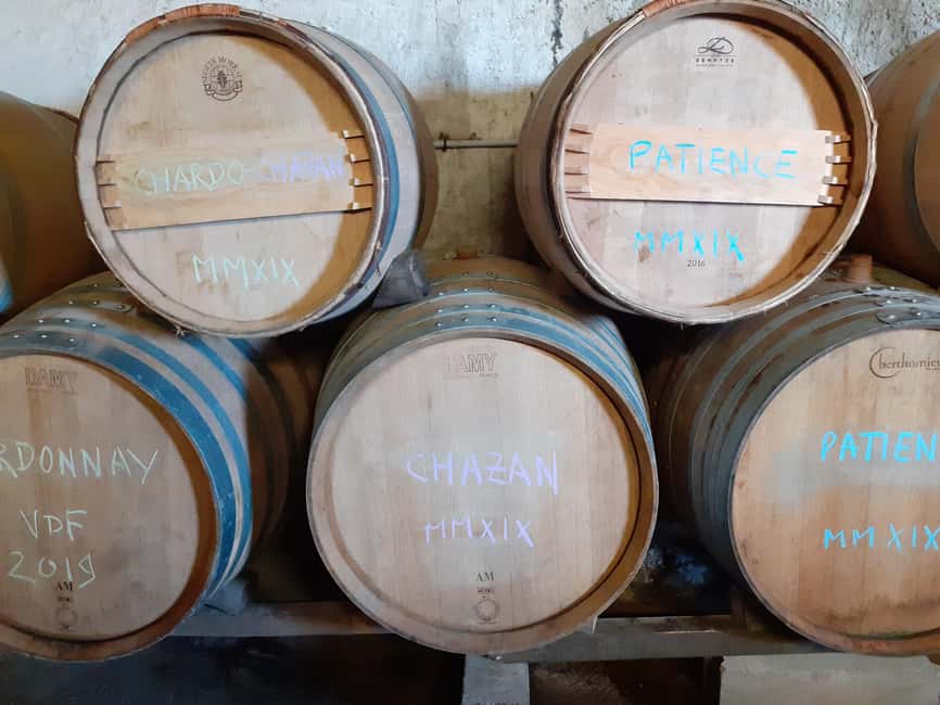 Luberon: cellar tour and wine tasting with commentary by an oenologist - Tasting Multiple Wines from Different Terroirs and Varieties