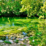 Luberon, Roussillon & Gordes Half-Day Tour from Avignon - Visiting Fontaine de Vaucluse: Provence’s Pristine Spring