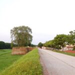 Lucca: Self-Guided Bike Tour to Villa Reale - Cycling Along the Serchio River Cycle Path