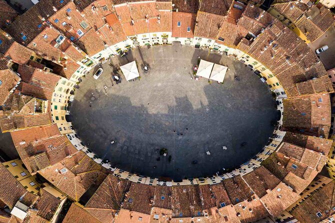 Lucca to Pisa PRIVATE E-Bike Tour + Pick Up & Drop Off - Scenic Lunch in San Rossore Park