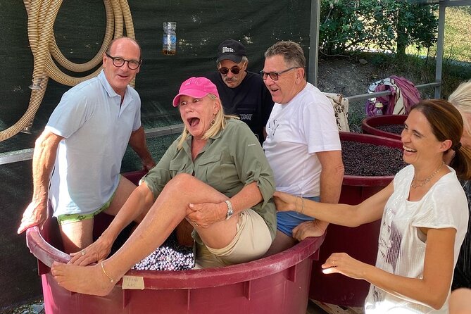 Lucca Tour and Pisa Tower + WineTasting by van from La SpeziaPort - Wine Tasting and Lunch at a Tuscan Winery