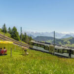 Lucerne: Boat Trip, Mount Rigi Train, & Mineral Baths Ticket - Starting Point at Lucerne’s Boat Pier and Main Departure Times