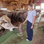 Lucerne: Farm Tour and Cheese Tasting - Meeting Points and Seasonality