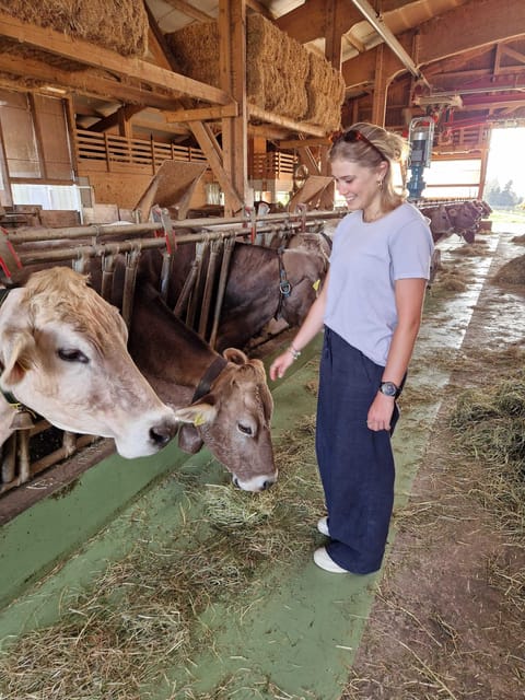 Lucerne: Farm Tour and Cheese Tasting - Meeting Points and Seasonality