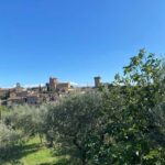 Lucignano: Guided Hike with Fortress Visit - Starting Point at La Lappola Farmhouse and Parking Convenience