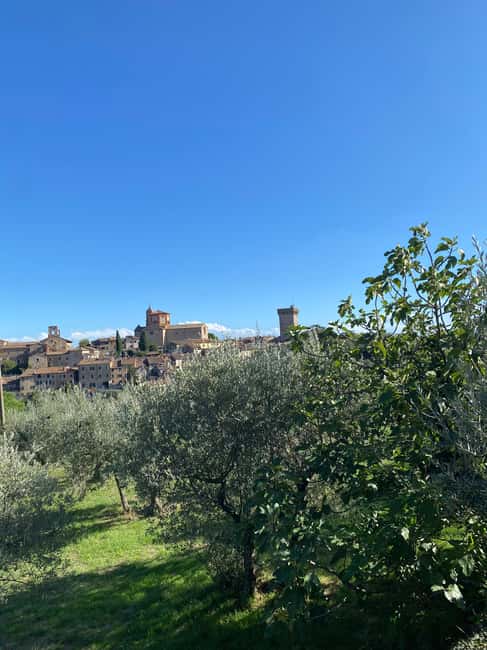 Lucignano: Guided Hike with Fortress Visit - Starting Point at La Lappola Farmhouse and Parking Convenience